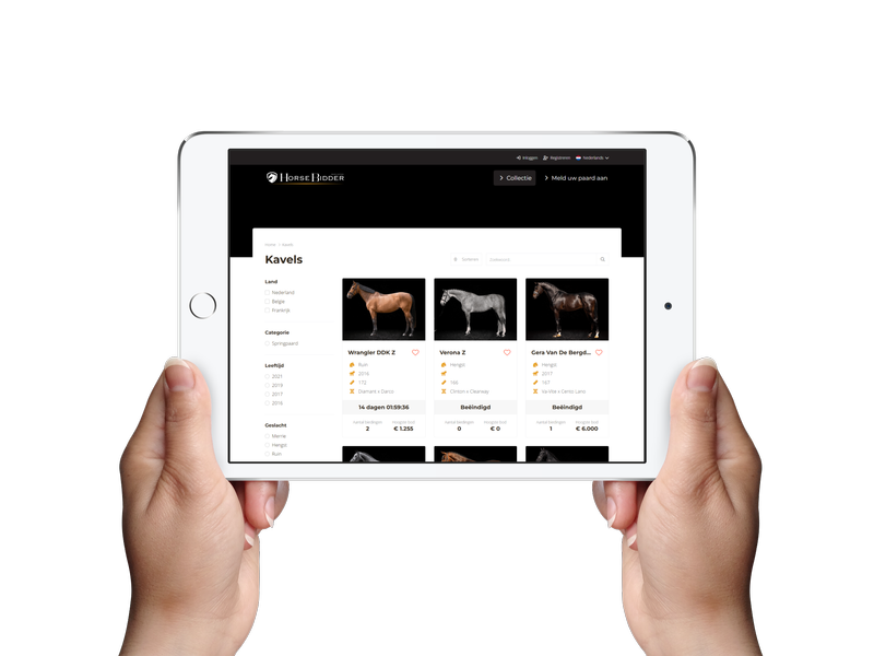 screenshot of SaaS Auction